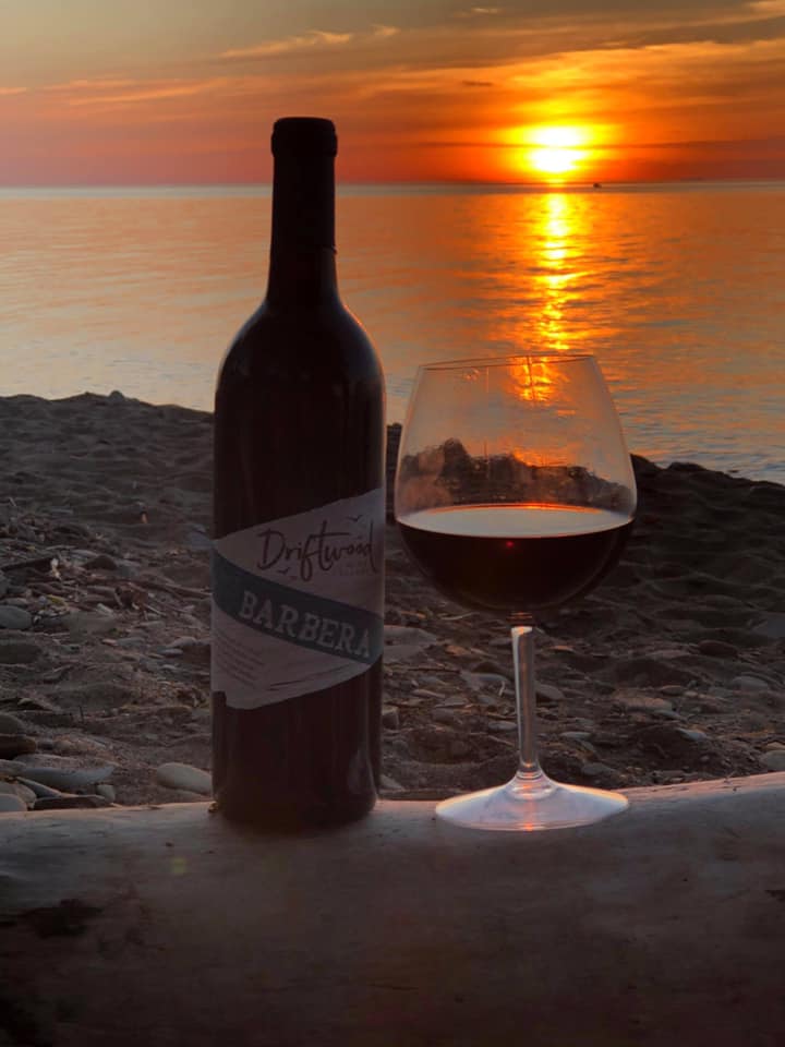 101022341 284947642899455 8722328590986772480 n